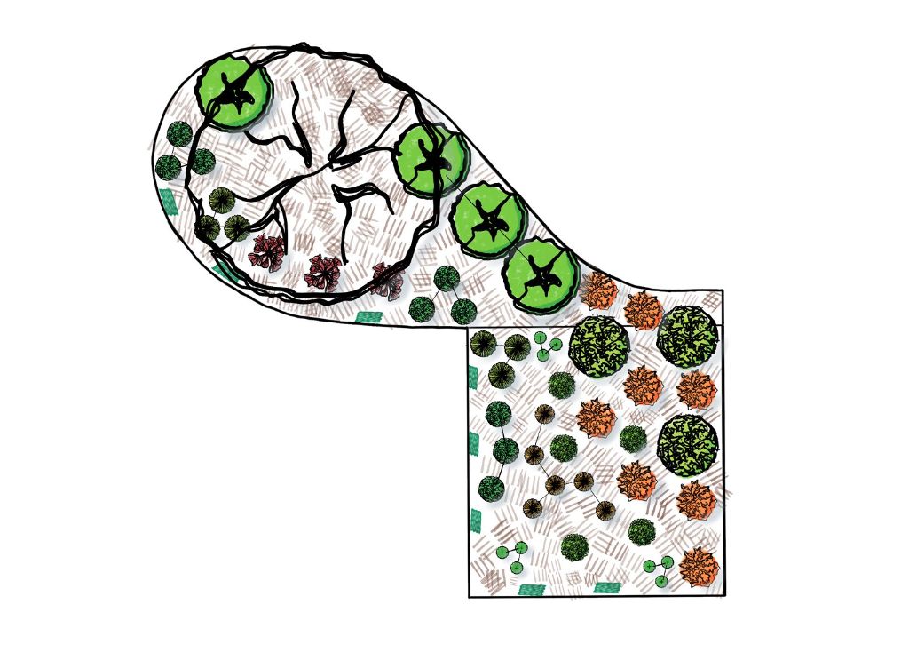 Sun & Shade Harmony Garden Design Plan