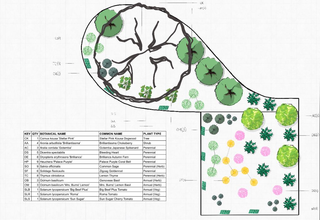 Sun & Shade Harmony Garden Design Plan