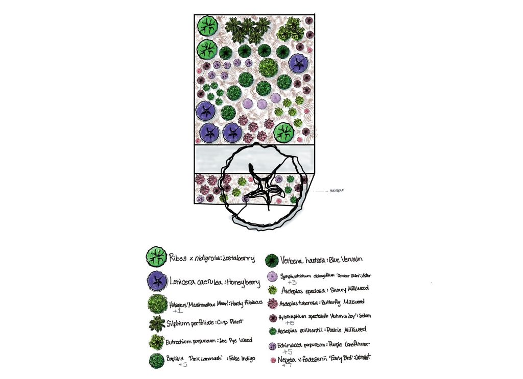 Edible Garden Design Plan