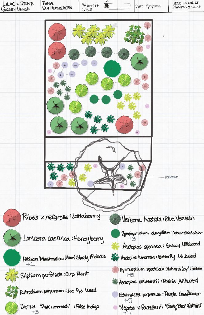 Edible Garden Design Plan