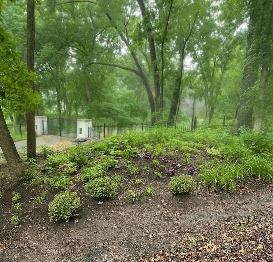 Roadside Hill Progress - Initial Planting