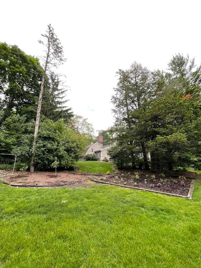 Roadside Hill Progress - Growing In